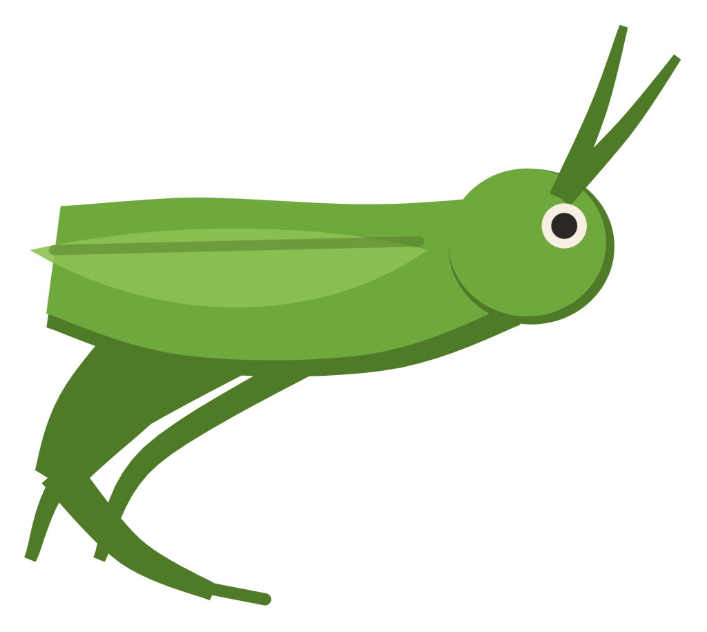 A green grasshopper in side view, with a long folded hind leg, wings along its back and long antennae.