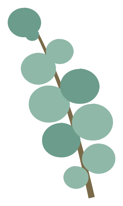 A eucalyptus branch with round blue-green leaves alternating along the stem.