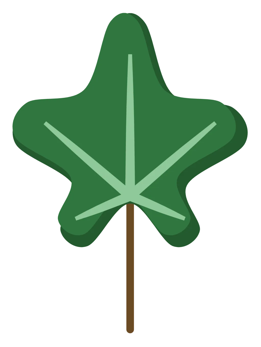 A dark green ivy leaf with five soft points and pale veins.