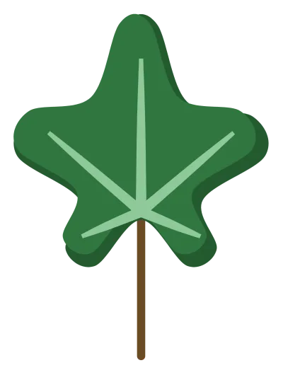 A dark green ivy leaf with five soft points and pale veins.