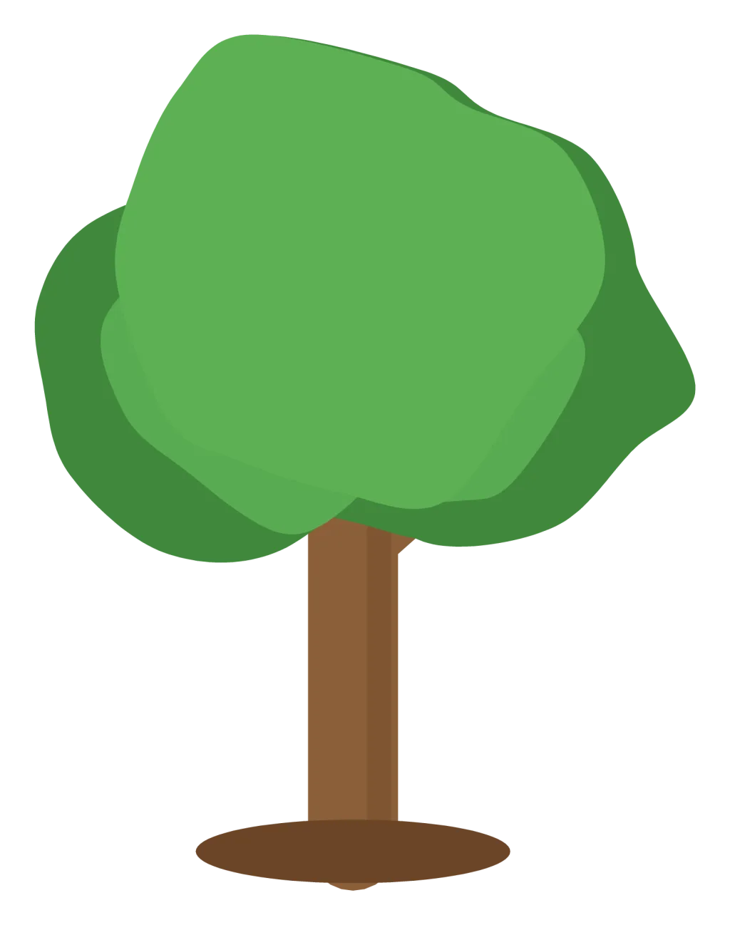 A broadleaf tree with a round green canopy, a brown trunk and two low branches.