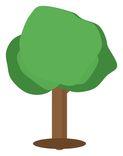 A broadleaf tree with a round green canopy, a brown trunk and two low branches.
