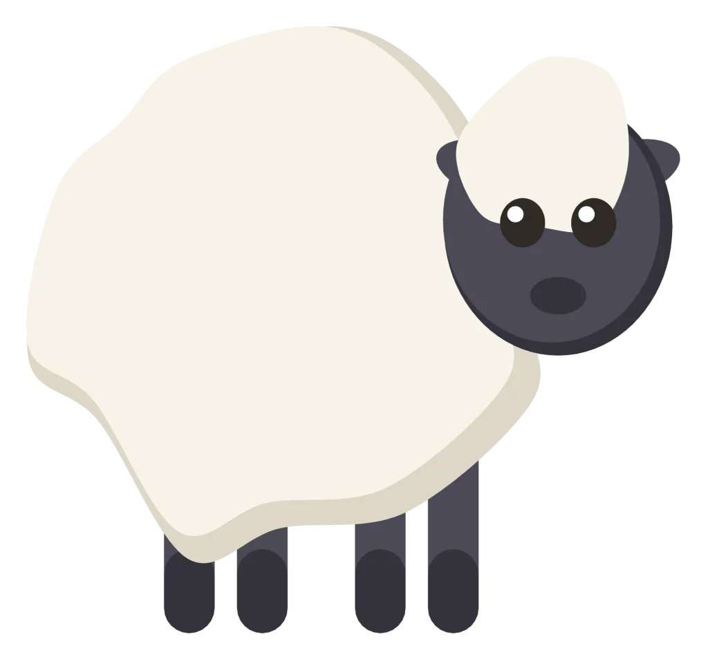 A woolly white sheep with a dark face and legs, standing in side view.