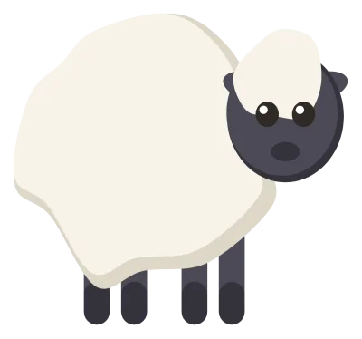 A woolly white sheep with a dark face and legs, standing in side view.