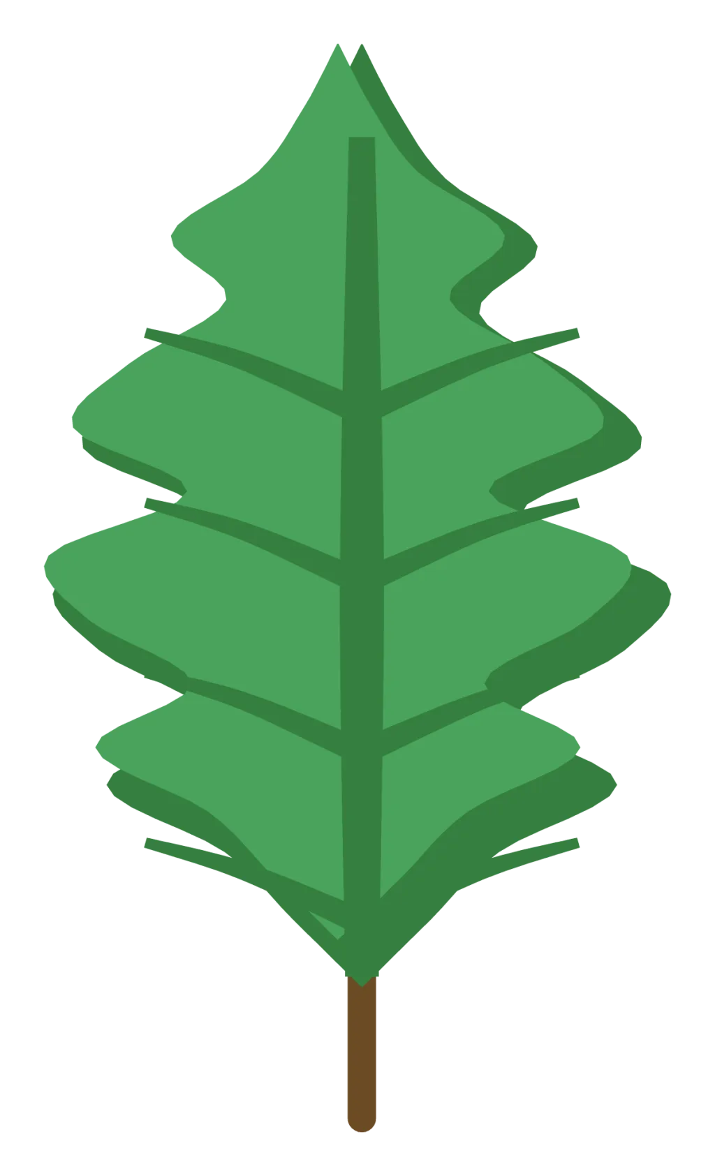 A green oak leaf with rounded lobes along both edges and a short stem.