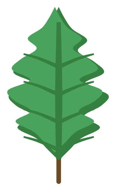 A green oak leaf with rounded lobes along both edges and a short stem.
