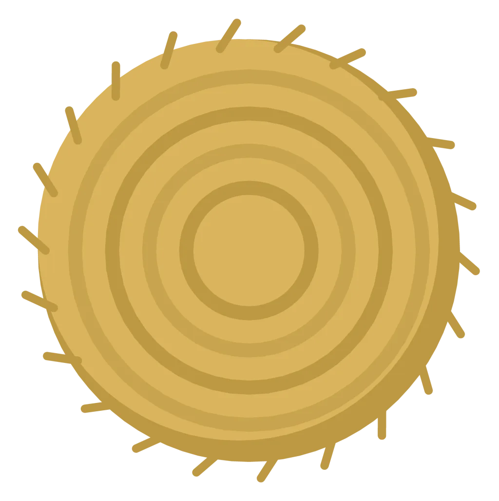 A round hay bale lying on its side, wound in visible spiral bands of golden straw.