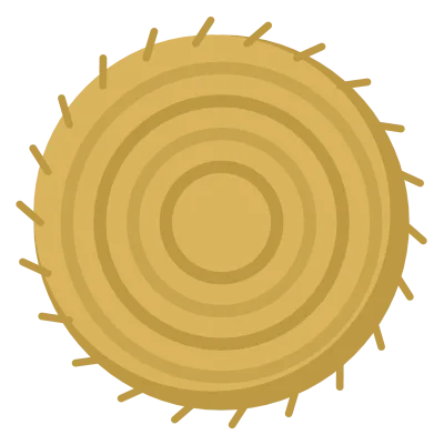 A round hay bale lying on its side, wound in visible spiral bands of golden straw.