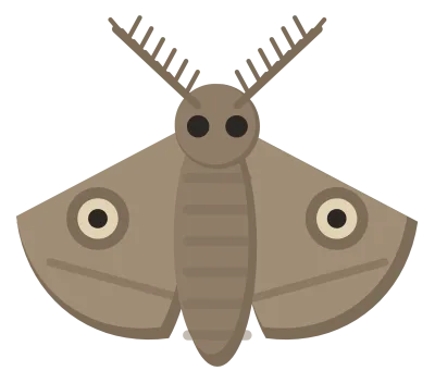 A grey-brown moth seen from above, with wings swept back into a triangle, feathery antennae and a furry body.