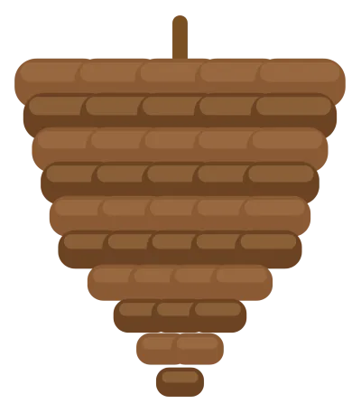 A brown pinecone with overlapping scales narrowing to a point, and a short stem.