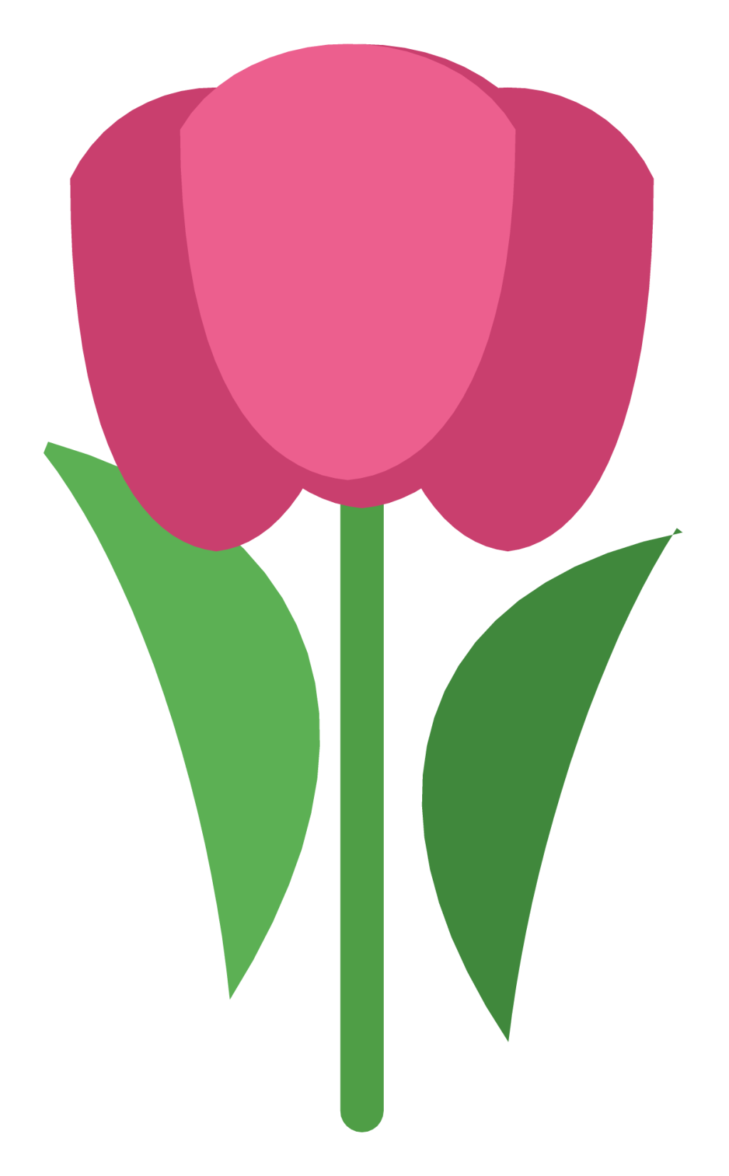 A pink tulip with three cupped petals, a straight green stem and two long leaves.