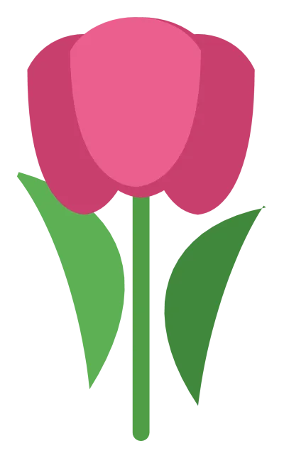 A pink tulip with three cupped petals, a straight green stem and two long leaves.