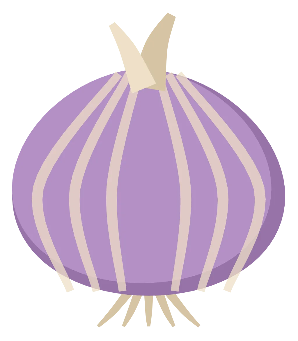 A red onion with papery skin, curved rings up the side and a dry shoot at the top.