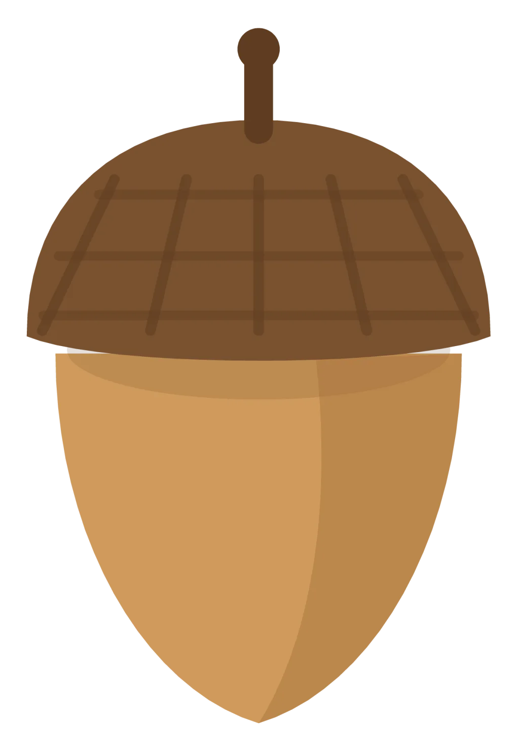 A tan acorn with a dark brown textured cap and a short stem at the top.