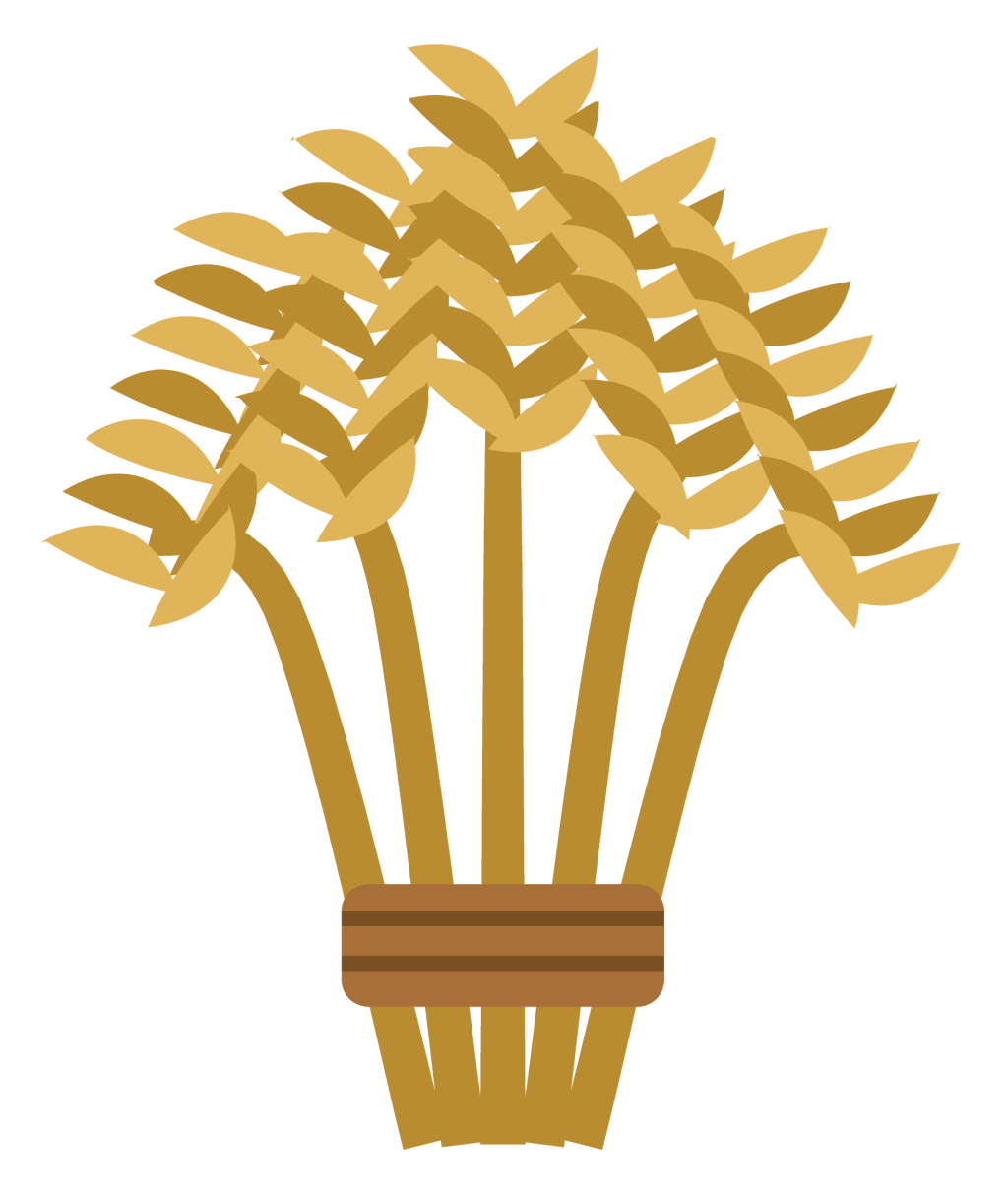 A bundle of golden wheat stalks tied with twine, the ears fanning out at the top.