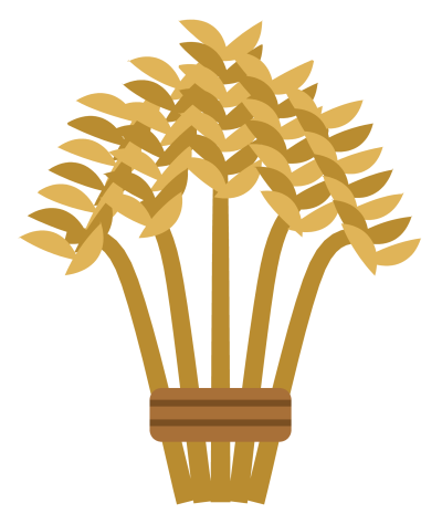 A bundle of golden wheat stalks tied with twine, the ears fanning out at the top.