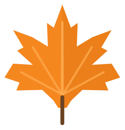 A pointed orange-red maple leaf with five lobes, pale veins and a short brown stem.