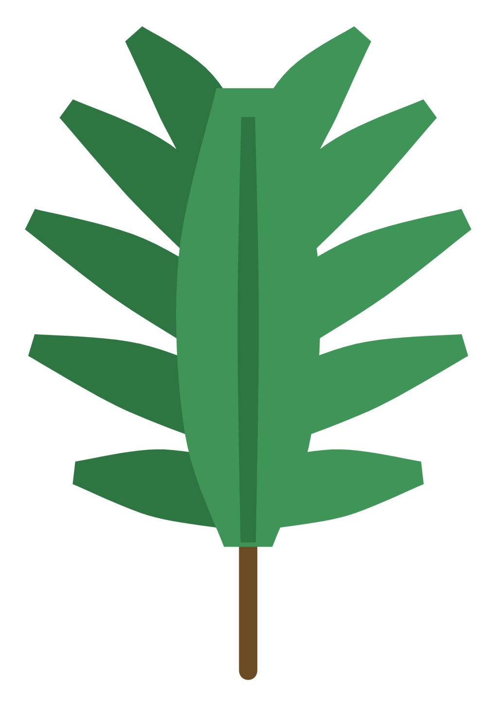 A tropical monstera leaf with deep splits between broad segments.