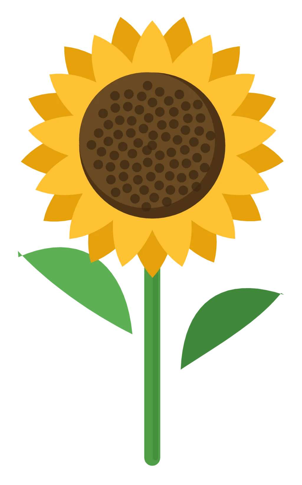 A yellow sunflower with a dark seeded centre, a green stem and two leaves.