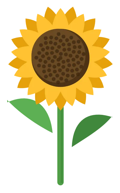 A yellow sunflower with a dark seeded centre, a green stem and two leaves.