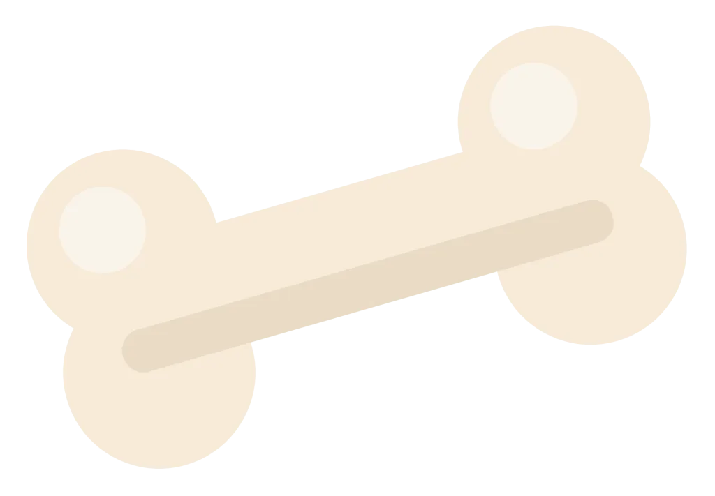 A cream dog bone with four rounded knobs, shown lying at a slight angle.