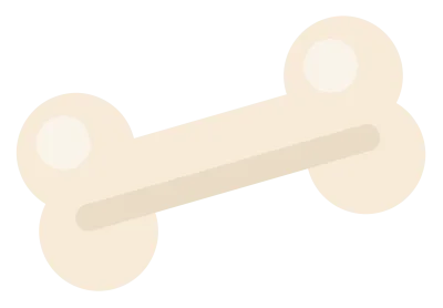 A cream dog bone with four rounded knobs, shown lying at a slight angle.