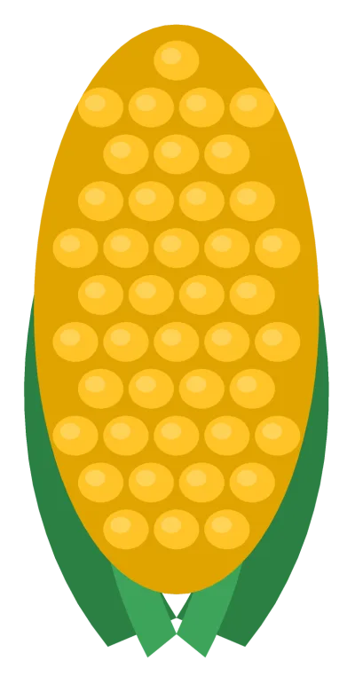 A yellow ear of corn with rows of round kernels and two green husk leaves folded back at the base.