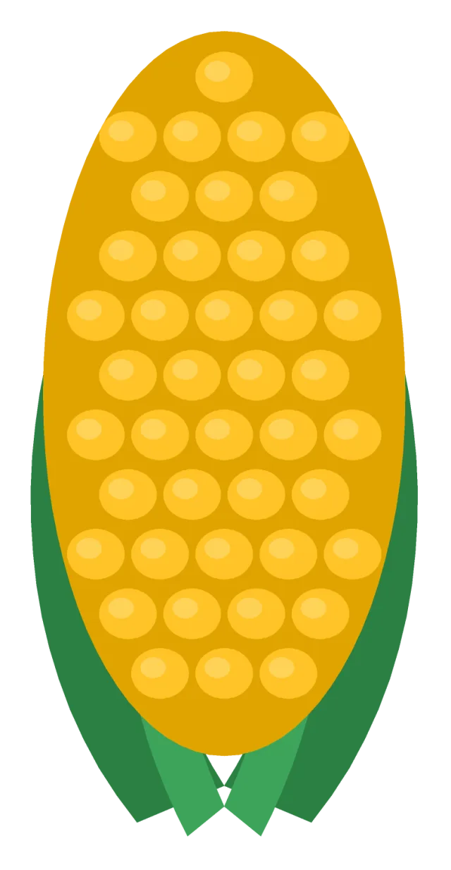 A yellow ear of corn with rows of round kernels and two green husk leaves folded back at the base.