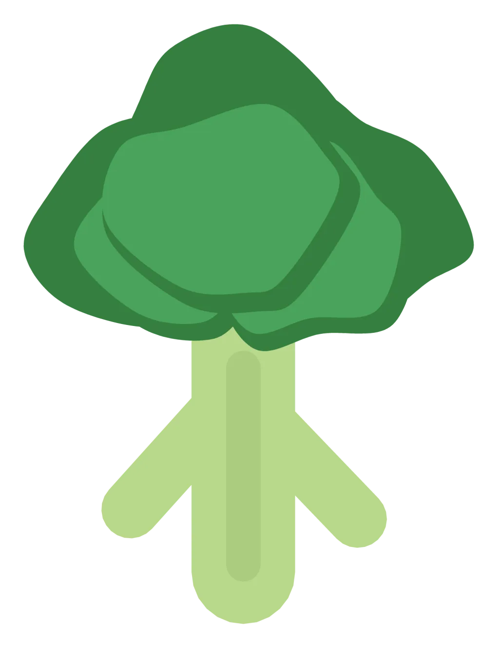 A head of broccoli with a pale stalk and a cluster of dark green florets.