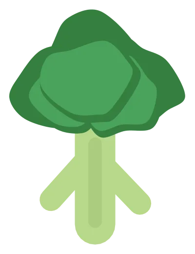 A head of broccoli with a pale stalk and a cluster of dark green florets.
