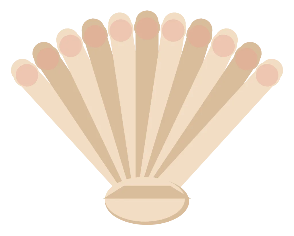 A cream scallop shell with radiating ribs and a pink flush along its lower edge.