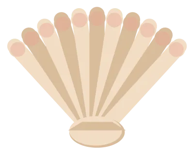 A cream scallop shell with radiating ribs and a pink flush along its lower edge.