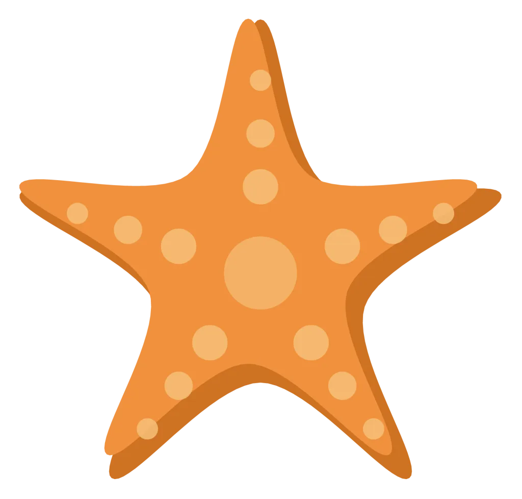 An orange starfish with five thick rounded arms and a scatter of paler bumps across it.