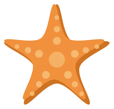 An orange starfish with five thick rounded arms and a scatter of paler bumps across it.