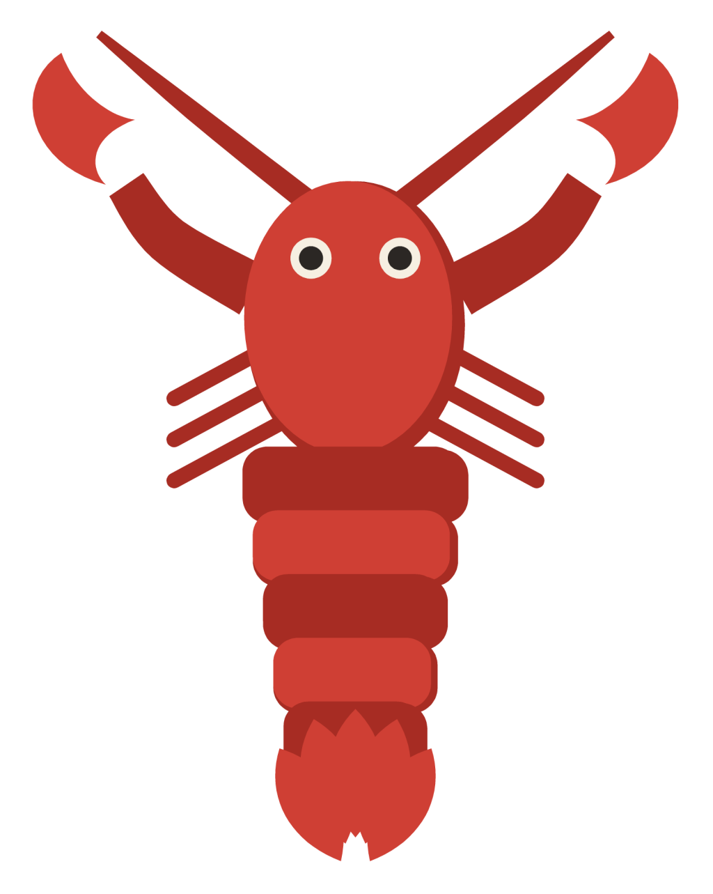A red lobster seen from above, with a long segmented tail, two large claws held forward and long antennae.