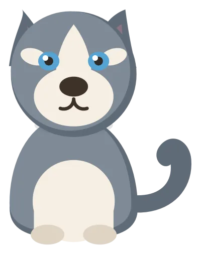 A grey and white husky sitting head on, with pointed ears, a dark face mask and pale blue eyes.