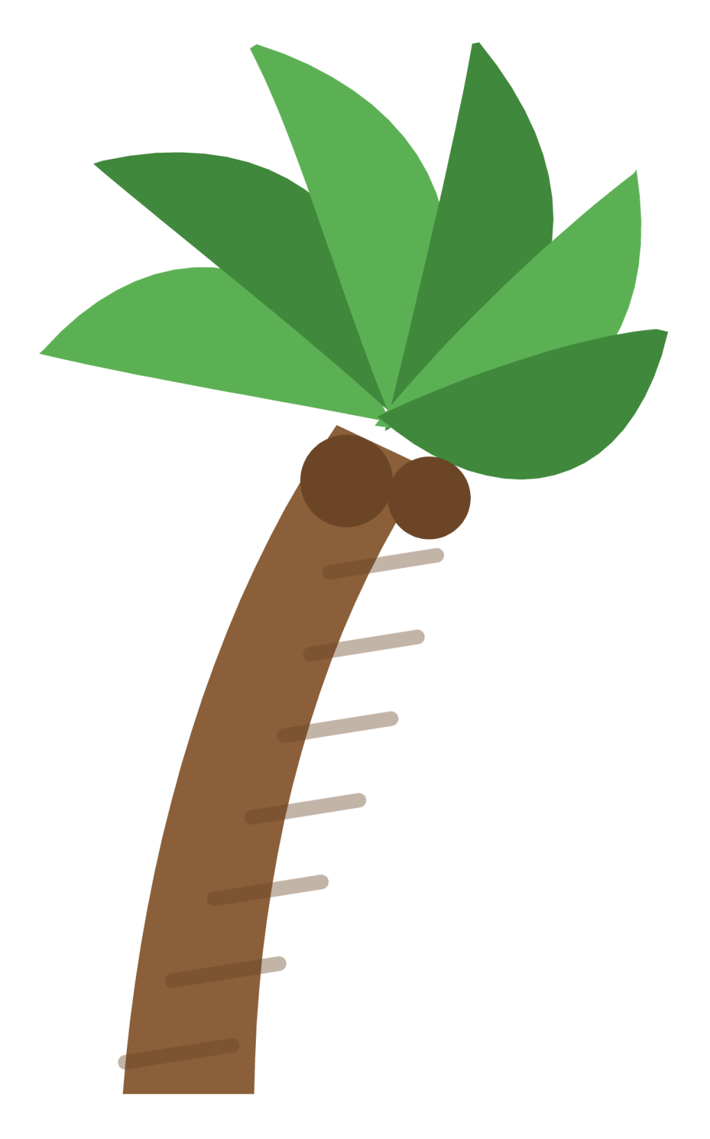 A palm tree with a curved trunk, six fronds and two coconuts at the crown.