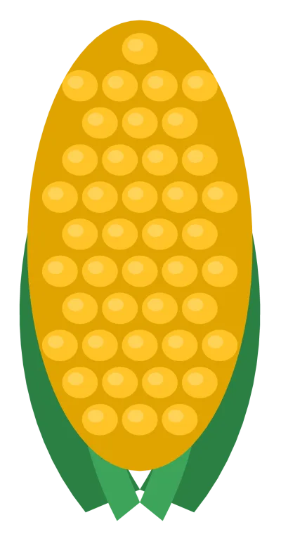 A yellow ear of corn with rows of round kernels and two green husk leaves folded back at the base.