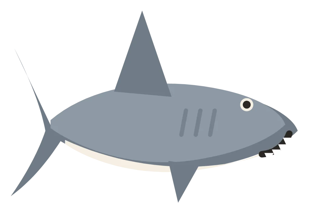 A grey shark swimming level, with a pointed snout, a tall triangular dorsal fin and a white belly.