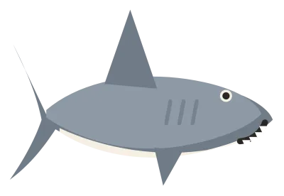 A grey shark swimming level, with a pointed snout, a tall triangular dorsal fin and a white belly.