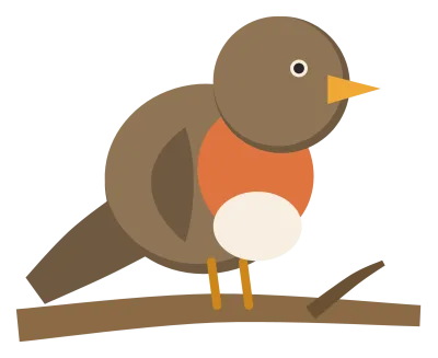 A robin perched on a branch, with a brown back, a round orange-red breast and a pale belly.