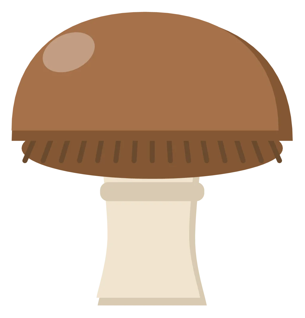 A brown-capped mushroom with a thick cream stem and gills showing beneath the cap.