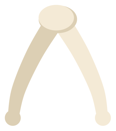 A pale wishbone with two tapering arms meeting at a rounded joint.
