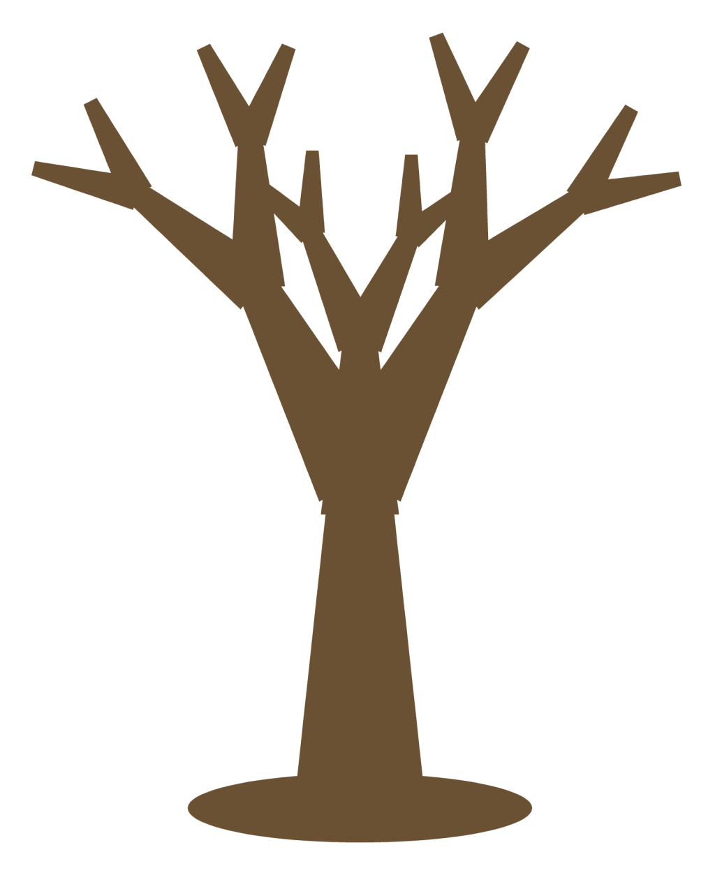 A bare winter tree with no leaves, its branches dividing into fine twigs against the sky.