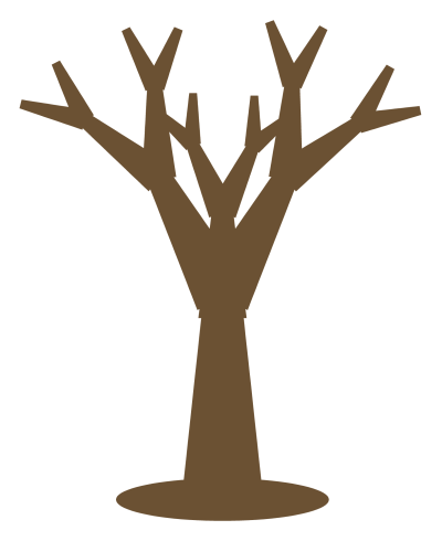 A bare winter tree with no leaves, its branches dividing into fine twigs against the sky.