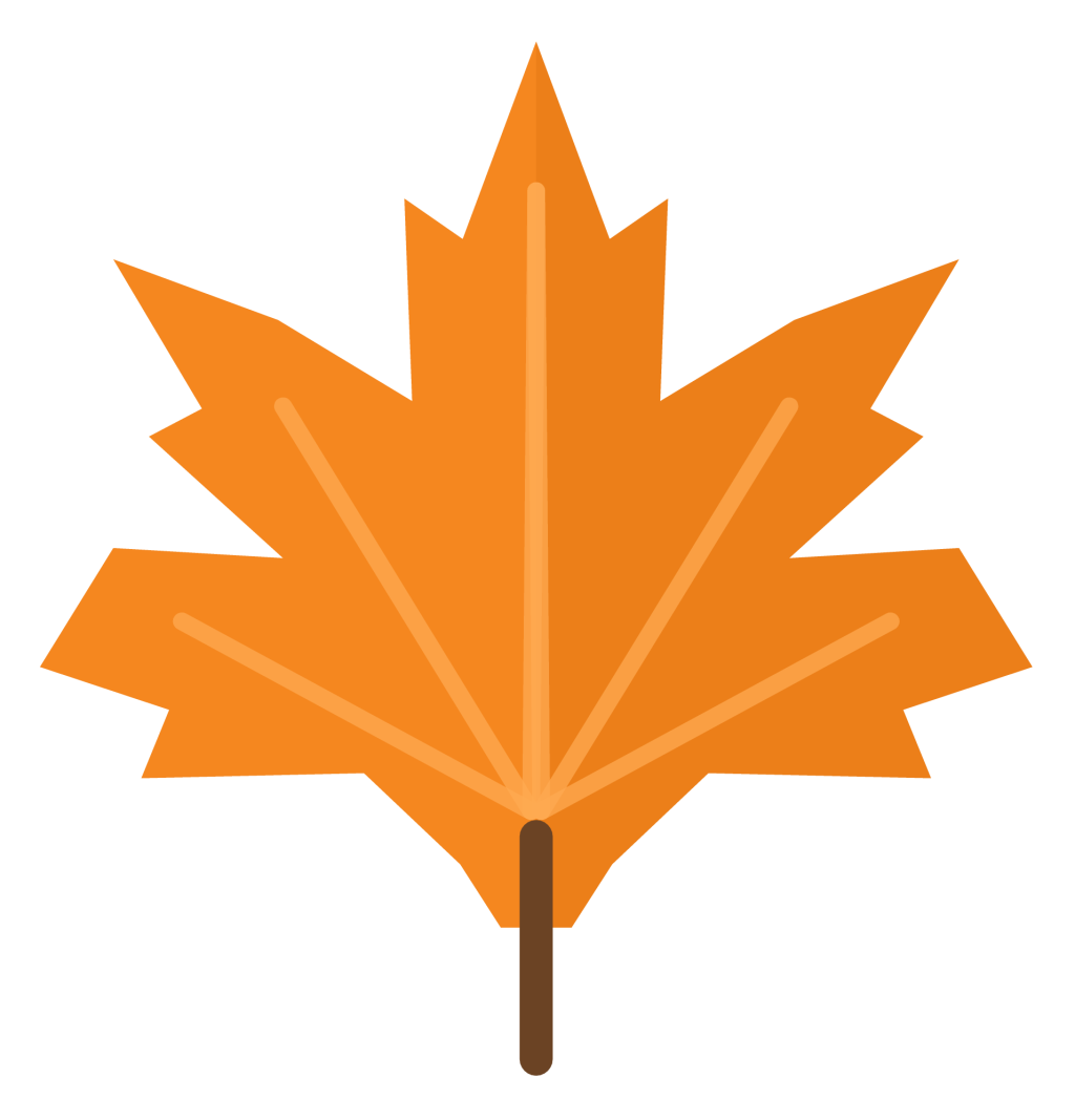 A pointed orange-red maple leaf with five lobes, pale veins and a short brown stem.