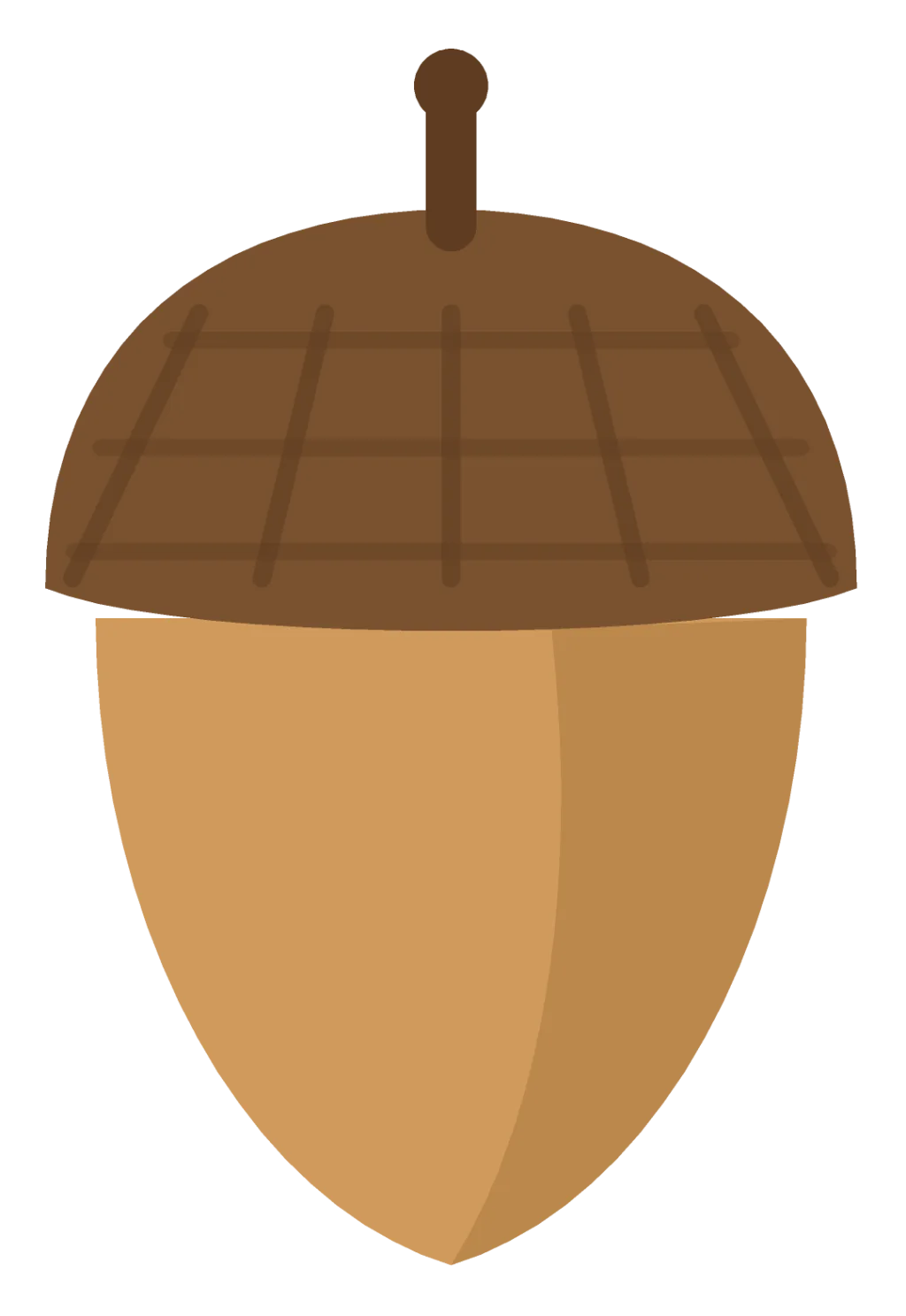 A tan acorn with a dark brown textured cap and a short stem at the top.