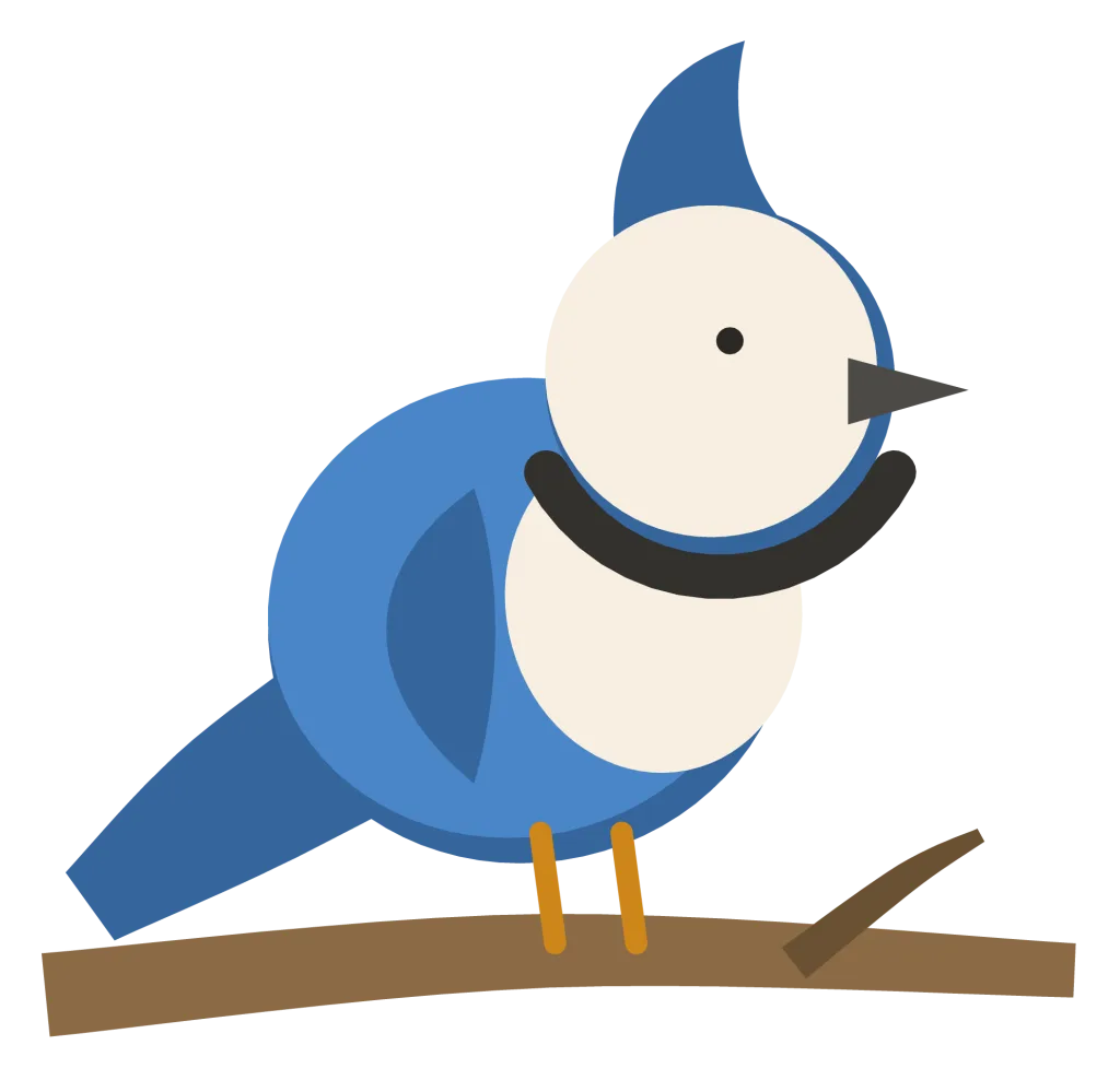 A blue jay perched on a branch, with a crest, a white face and chest and a black band across the throat.