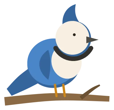 A blue jay perched on a branch, with a crest, a white face and chest and a black band across the throat.