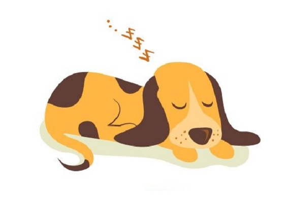 The cute dog is sleeping soundly. Cliparts printable PDF